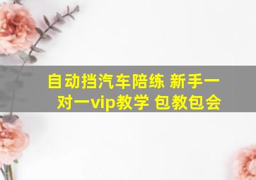 自动挡汽车陪练 新手一对一vip教学 包教包会